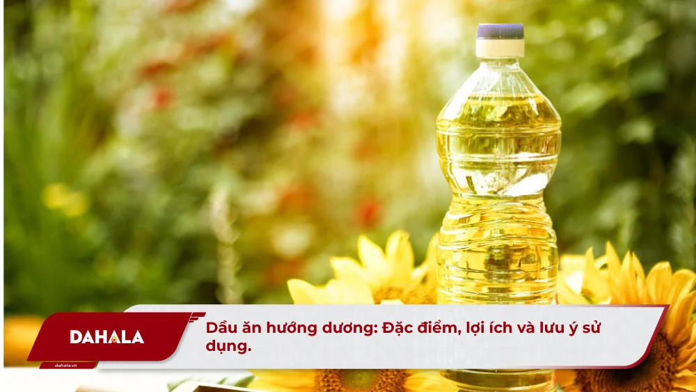 dau-an-huong-duong